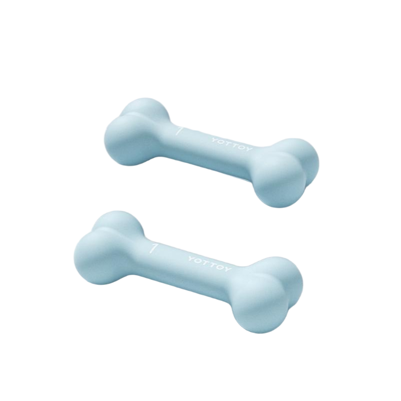 YOTTOY 小骨哑铃2*1kg ylhl2405x1A00017740g001 17*7*4cm 天蓝色（单位：对）